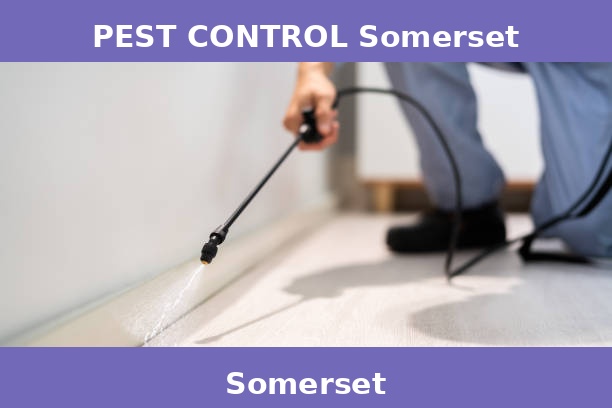 PEST CONTROL Somerset